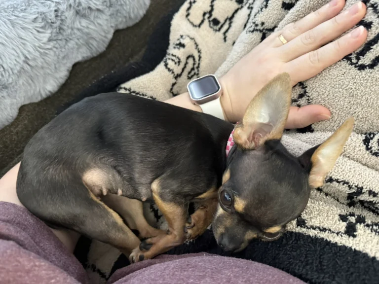 Getting Back in the Swing of Things