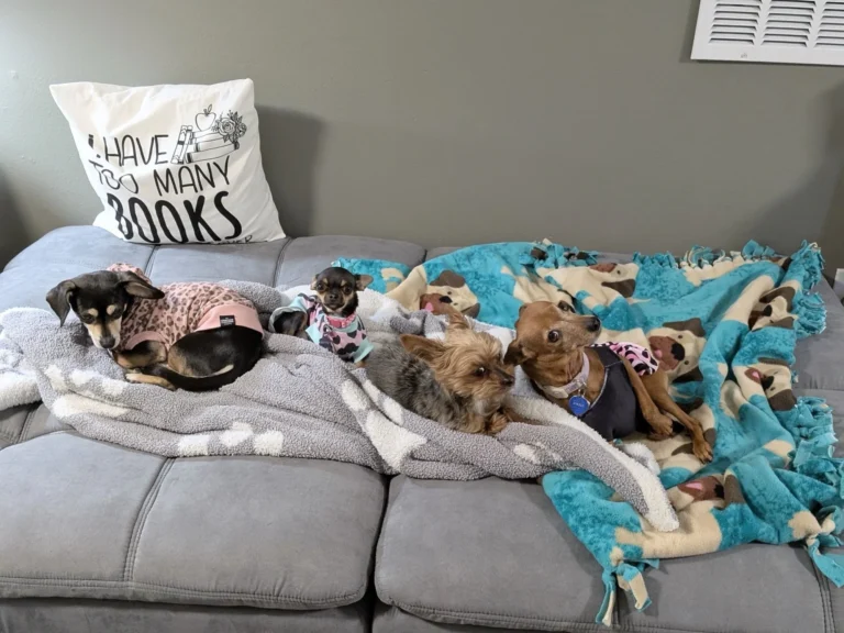 How My Dogs Help When Anxiety Keeps Me Home